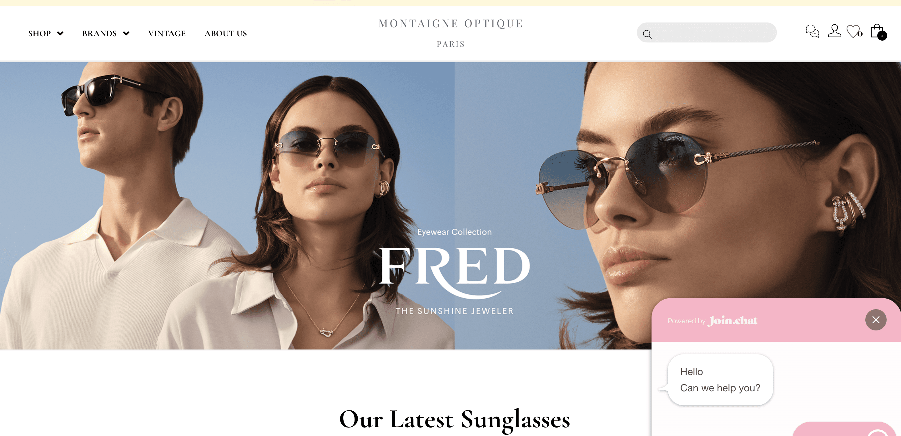 Preview Montaigne Optique