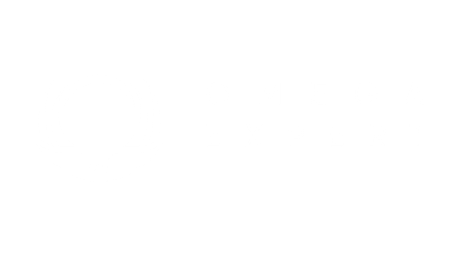 Aperçu du site Omega Expert